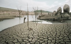 9 Makanan Ini Jadi Langka dan Mahal Akibat Perubahan Iklim (1)