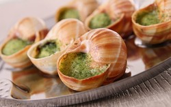 Serangan Cacing New Guinea pada Bekicot di Eropa Picu Kenaikan Harga Escargot