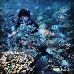 Karimunjawa, Tempat Liburan Sempurna di Utara Jepara