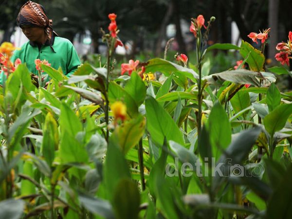Ini Wajah Baru Taman Semanggi