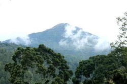 Pria Berambut Cepak Ditemukan Tewas di Jalur Pendakian Lawu