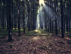 My Lovely Favorite Place