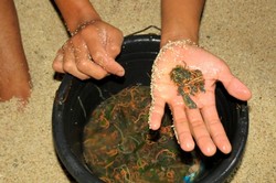 Begini Bentuk Cacing Jelmaan Puteri Cantik Mandalika