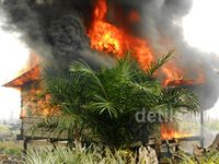 Barak Perambah Hutan Dibakar