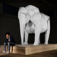 Origami Gajah Raksasa dari Selembar Kertas