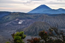 Bromo aduhai