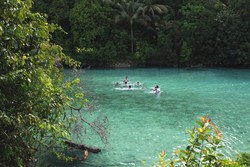 Air Sebening Kaca di Danau Kakaban