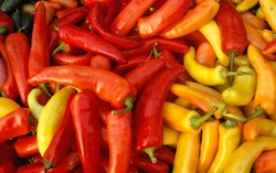 Cabai Naga Jolokia dan Cabai Rawit Putih Jemprit, Cabai Lokal yang Pedas Menggigit