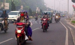Awas! Asap Kebakaran Hutan di Riau Ancam Balita dan Ibu Hamil