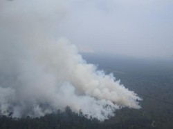 Titik Panas di Riau Naik Tajam dalam Sepekan, dari 700 Jadi 2.000
