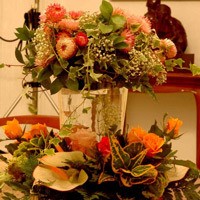 Keajaiban Bunga, Bisa Bicara dan Memperbaiki Hubungan