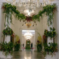 IPBI Buat Buku Khusus Soal Daun Sebagai Pendamping Bunga