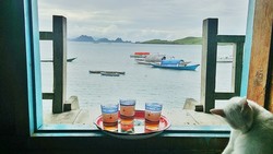 Ngeteh Manis Bareng Si Manis di Beranda Rumah