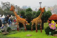 Cantiknya Hong Kong Bertabur Bunga
