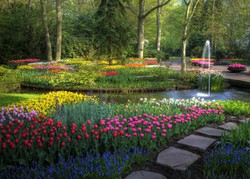 5 Tempat Terindah Melihat Hamparan Bunga Musim Semi