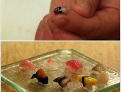 Wah, Sushi Terkecil Ini Dibuat dalam 5 Menit Saja!