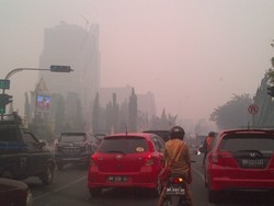 49.591 Warga Riau dan Sumbar Derita Penyakit Akibat Kabut Asap