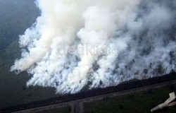 37 Orang dan 1 Perusahaan jadi Tersangka Terkait Kebakaran Lahan di Riau