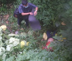 Kronologi Penemuan Siswi SMP yang Tewas di Semak-semak Pamulang