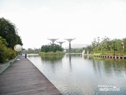 Bulan Depan, 25.000 Bunga Tulip Mekar di Singapura!