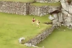 Keterlaluan! Sepasang Turis Lari Sambil Bugil di Machu Picchu