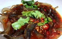 Berani Coba? Sashimi Ikan Hidup dan Salad Bertabur Semut Hidup