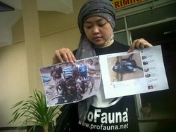 Unggah Foto Penembakan Lutung Jawa, Facebooker Diadukan ke Kapolda Jabar