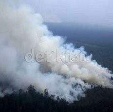 Polri Janji Tindak Korporasi Lain yang Terlibat Pembakaran Hutan