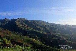 Pesona Dieng Saat Fajar Menyingsing