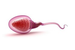 Penyakit-penyakit yang Bisa Bikin Jumlah Sperma Pria Secuil (2)