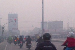 Dokter: Kabut Asap Lebih Cepat Picu Bronkitis daripada Rokok