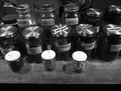 Kehangatan Kedai Klinik Kopi di Tengah Hutan Jati Dieng