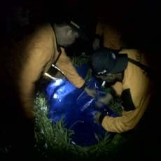 Mayat Diduga Penyelam Jepang Ditemukan di Pantai Sendangbiru