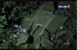 Ada Tato dan Tahi Lalat, Ini Ciri-ciri Lengkap Wanita Tanpa Kepala