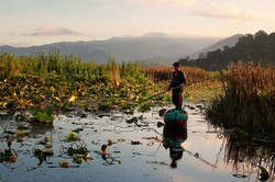 Danau lebo