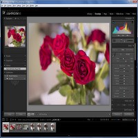 Mengolah Foto RAW dari Kamera