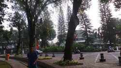 Banyak Bendera PDIP di Dekat Rumahnya, Jokowi: Saya akan Telepon Bawaslu