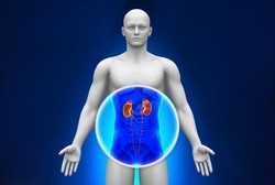 Dibanding Diabetes, Hipertensi Lebih Banyak Sebabkan Gagal Ginjal