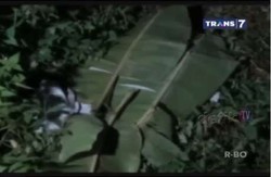 Polisi Buka Call Center Mayat Korban Mutilasi Bertato Erna di Cianjur