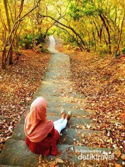 Gunung Pengsong, Satu Lagi Keindahan di Lombok Selain Rinjani