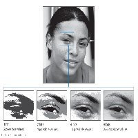 Cara Mengetahui Ukuran Bit File RAW
