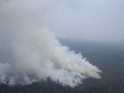 Polisi Belum Bisa Pastikan Otak Pelaku Kasus Asap Riau
