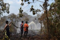 Ada 44 Kasus Pembakaran Lahan dan Hutan di Riau