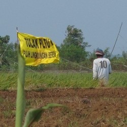 Cerita Bendera Kuning Tolak PLTU Batang, Pembangkit Terbesar ASEAN