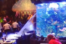 Waduh! Akuarium Raksasa di Disney World Florida Bocor