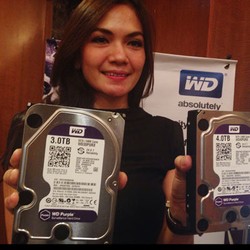 WD Geber Hardisk Khusus CCTV