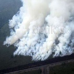Mentan Suswono Yakin Perusahaan Sawit Besar Tak Bakar Hutan di Riau