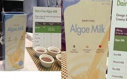 Susu Ganggang Laut, Susu Nabati Berprotein Tinggi Diperkenalkan di Amerika