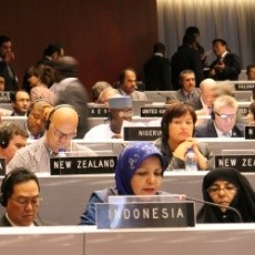 Parlemen RI Angkat Isu Anak dan Anak-anak Migran