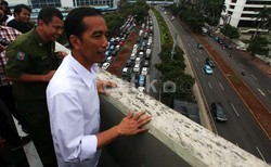 Jokowi Rapat Bareng Wamenhub Bahas Pengerjaan Loop Line